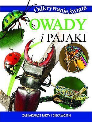 Owady i pająki.