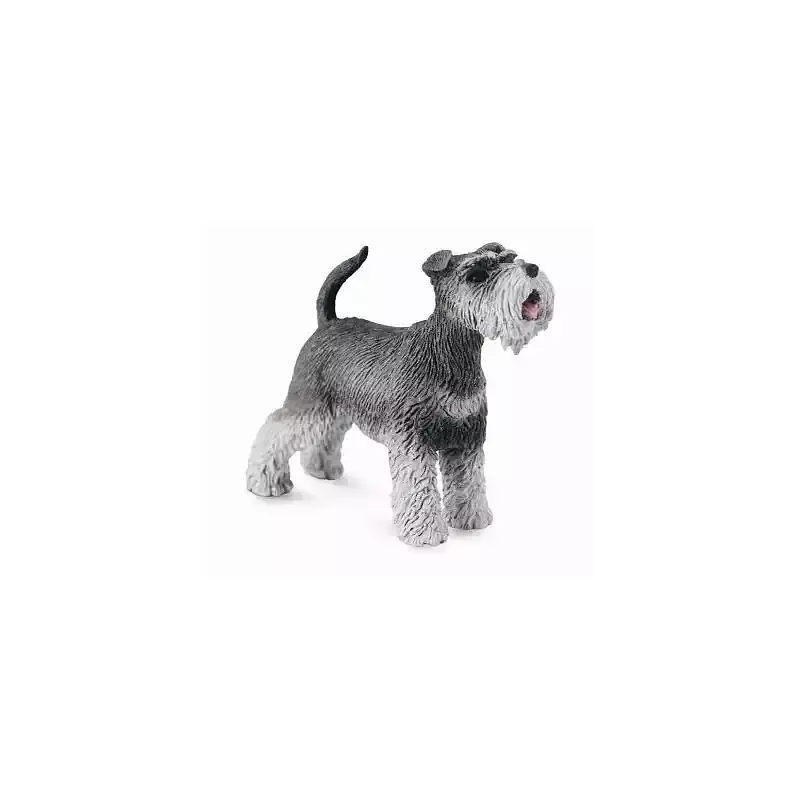 Schnauzer M