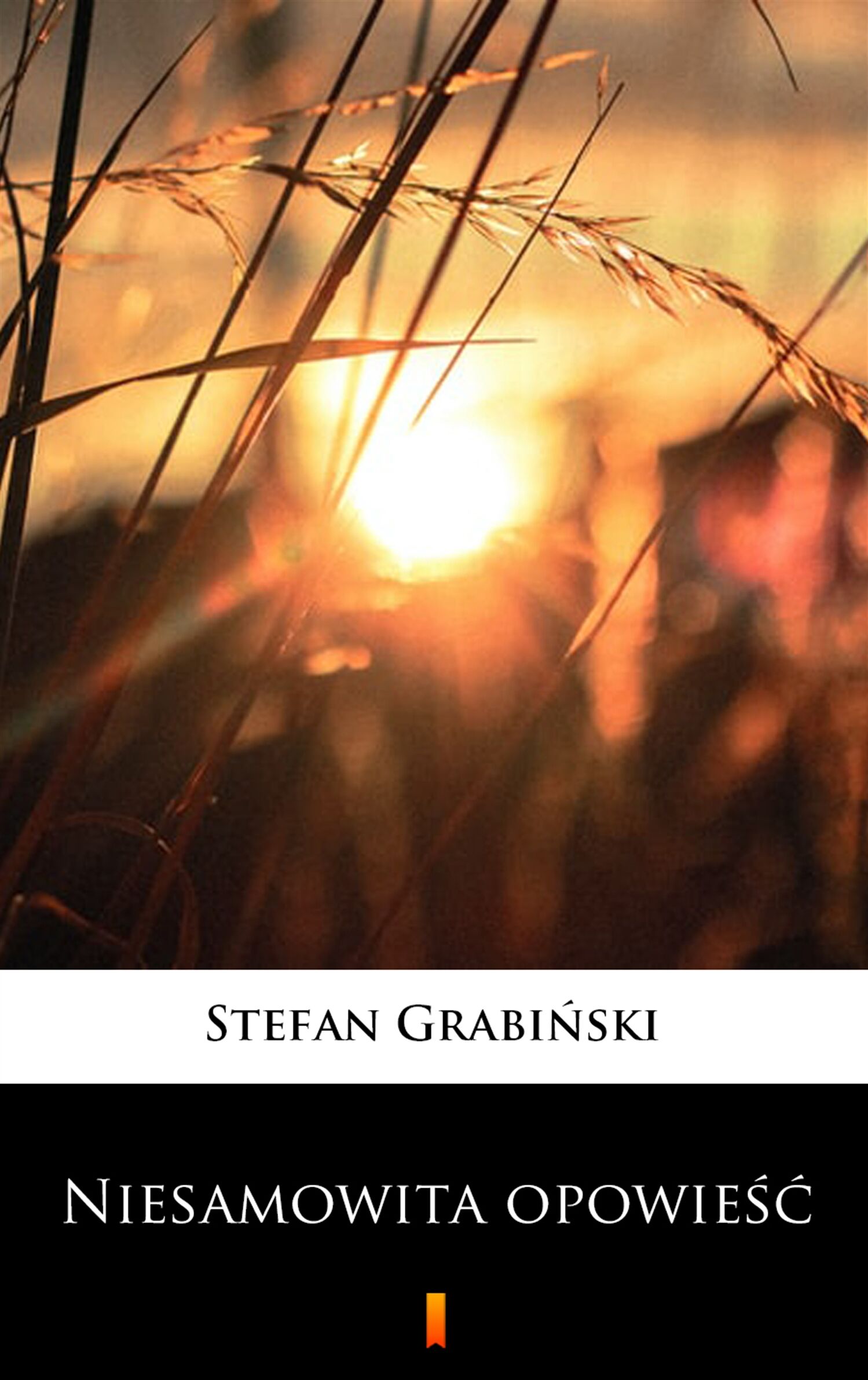 Niesamowita opowieść (e-book)