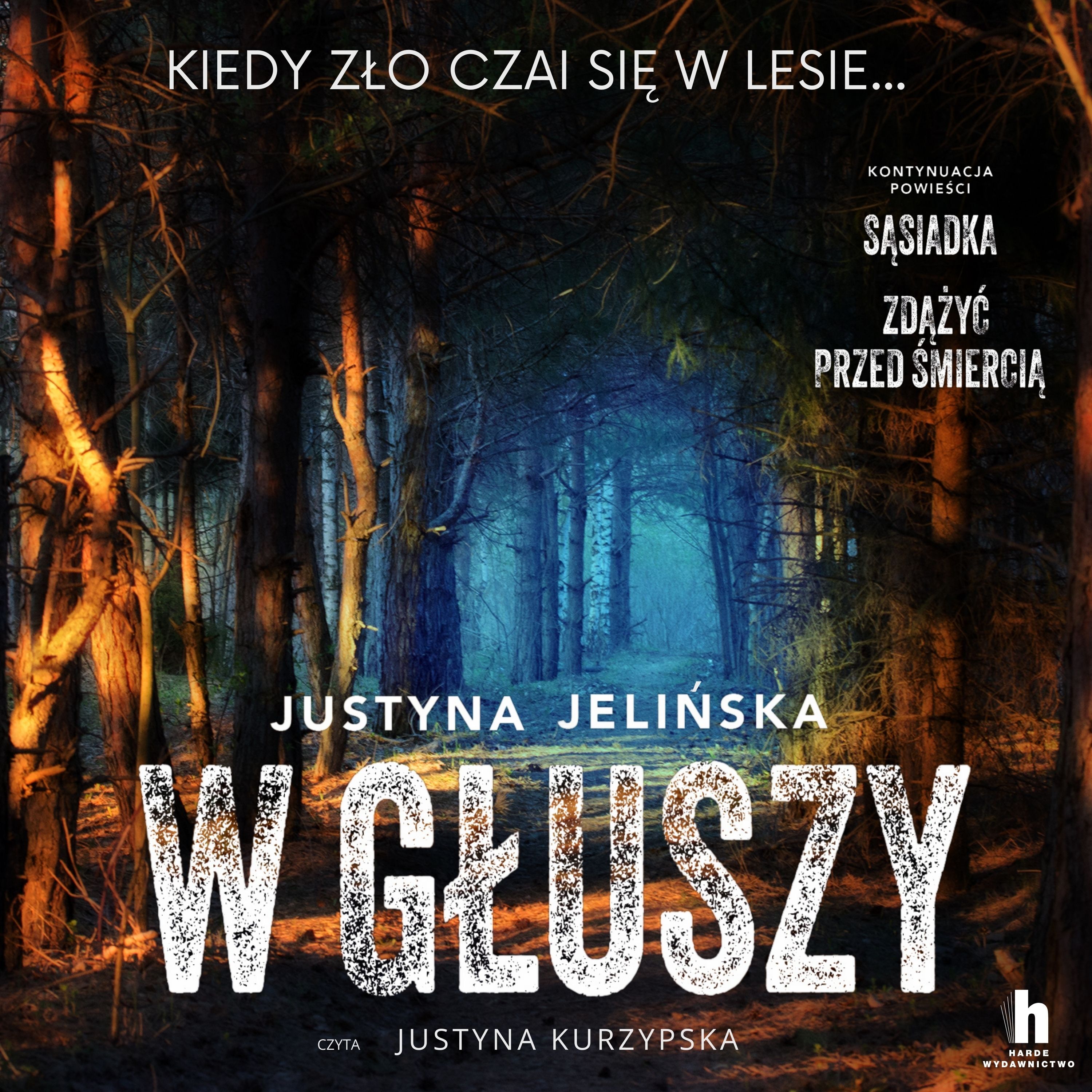 W głuszy (audiobook MP3)