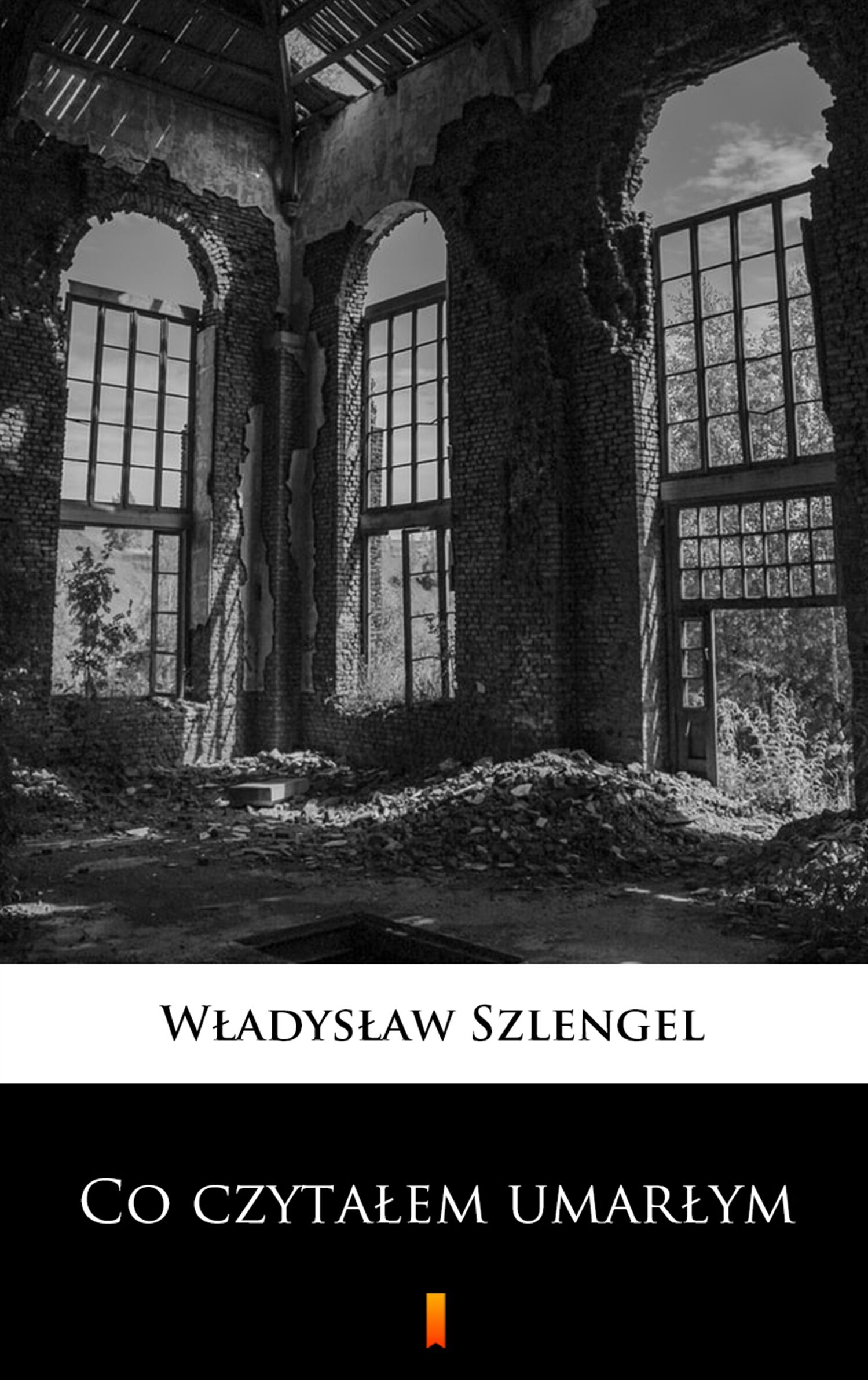 Co czytałem umarłym (e-book)