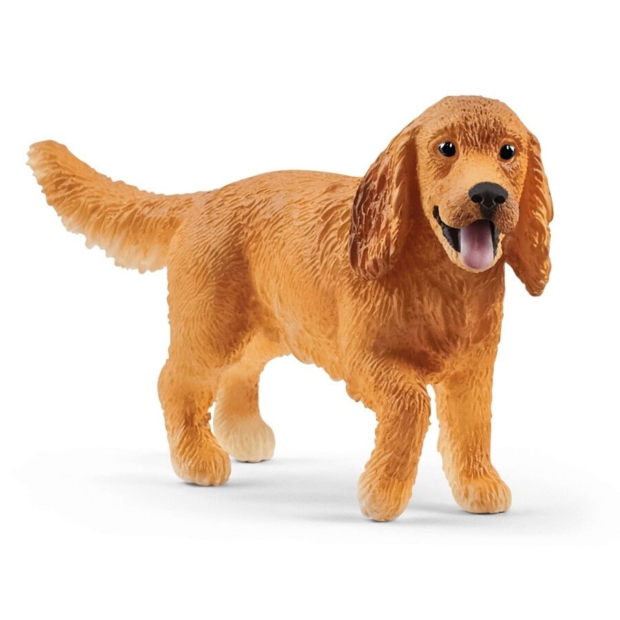 Angielski cocker spaniel SLH13896