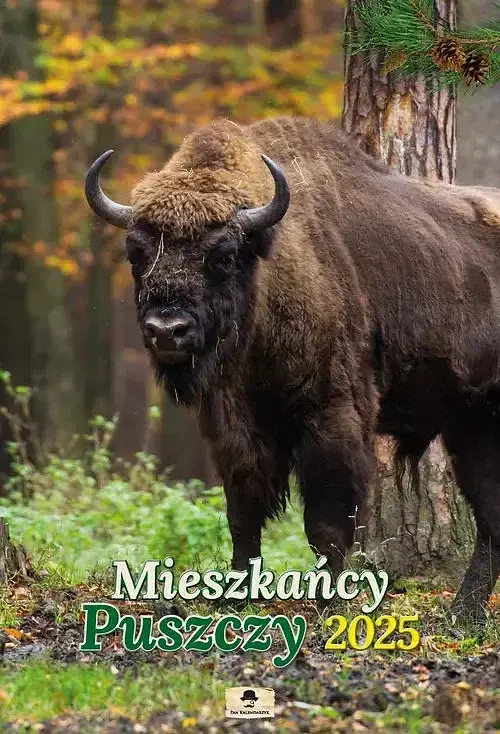 Kalendarz 2025 mieszkańcy puszczy ścienny a3–vd. 11