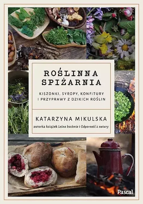 Roślinna spiżarnia. Kiszonki, syropy, konfitury i przyprawy z dzikich roślin
