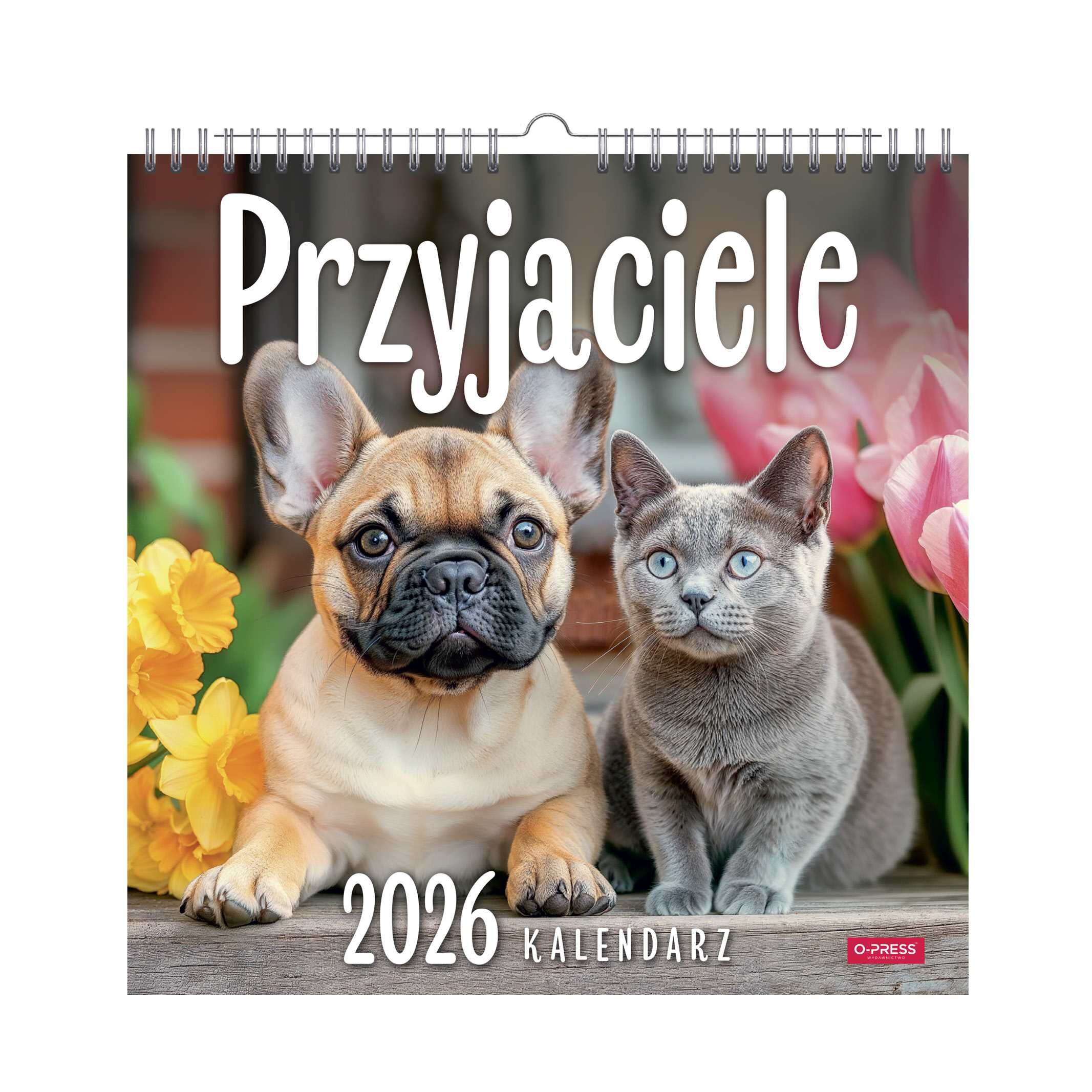 Kalendarz 2026  Przyjaciele kwadrat ścienny