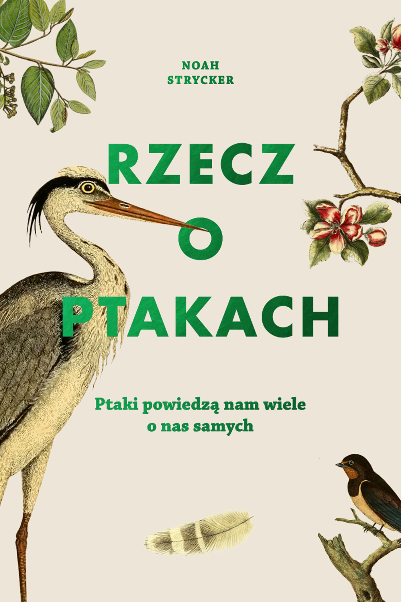 Rzecz o ptakach (e-book)