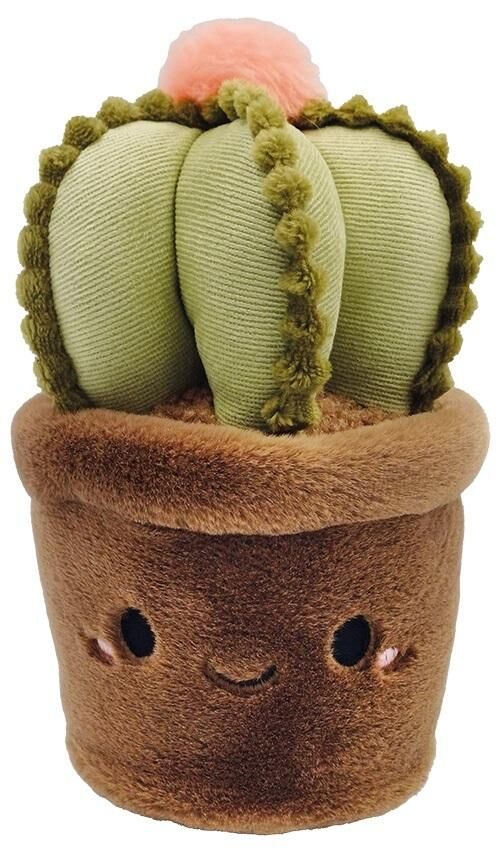 Maskotka Kaktus 23 cm
