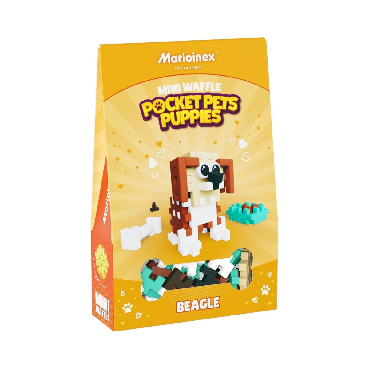 Mini Waffle Pocket Pets, Puppies - Beagle