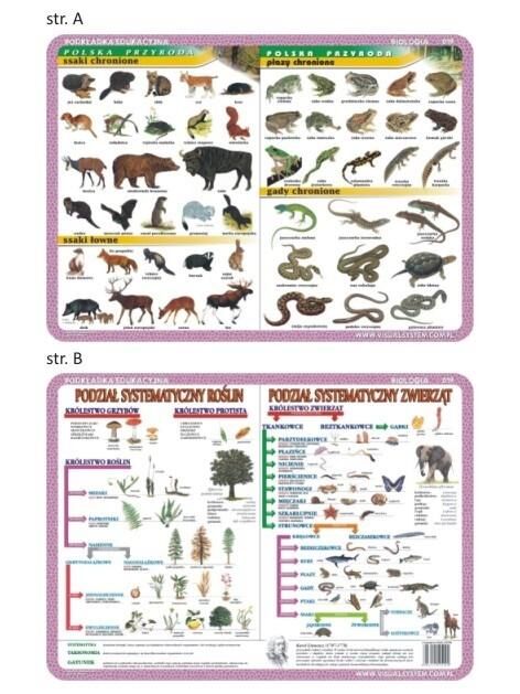 Podkładka edukacyjna 019 - Biologia. Ssaki i płazy chronione, podział systematyczny roślin i zwierząt