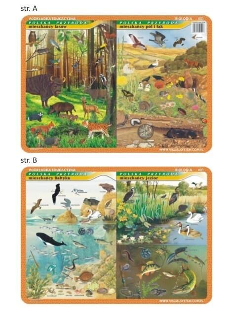 Podkładka edukacyjna 021 - Biologia. Mieszkańcy Bałtyku, jezior, lasów, pól i łąk