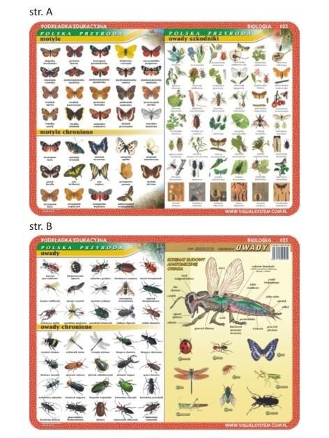 Podkładka edukacyjna 025 - Biologia. Motyle, owady szkodniki, owady