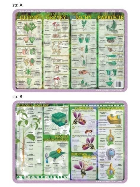 Podkładka edukacyjna 026 - Biologia. Budowa rośliny i kwiatu, cykl rozwojowy - glony, grzyby, mchy, paprocie