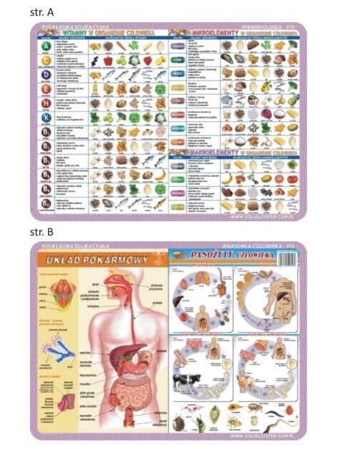 Podkładka edukacyjna 056 - Anatomia człowieka i mikrobiologia. Pasożyty człowieka, układ pokarmowy, witaminy, mikro i makroelementy w organizmie człowieka