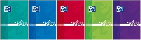 Brulion Oxford A5/80k, kratka z marginesem - Fizyka (400128288)