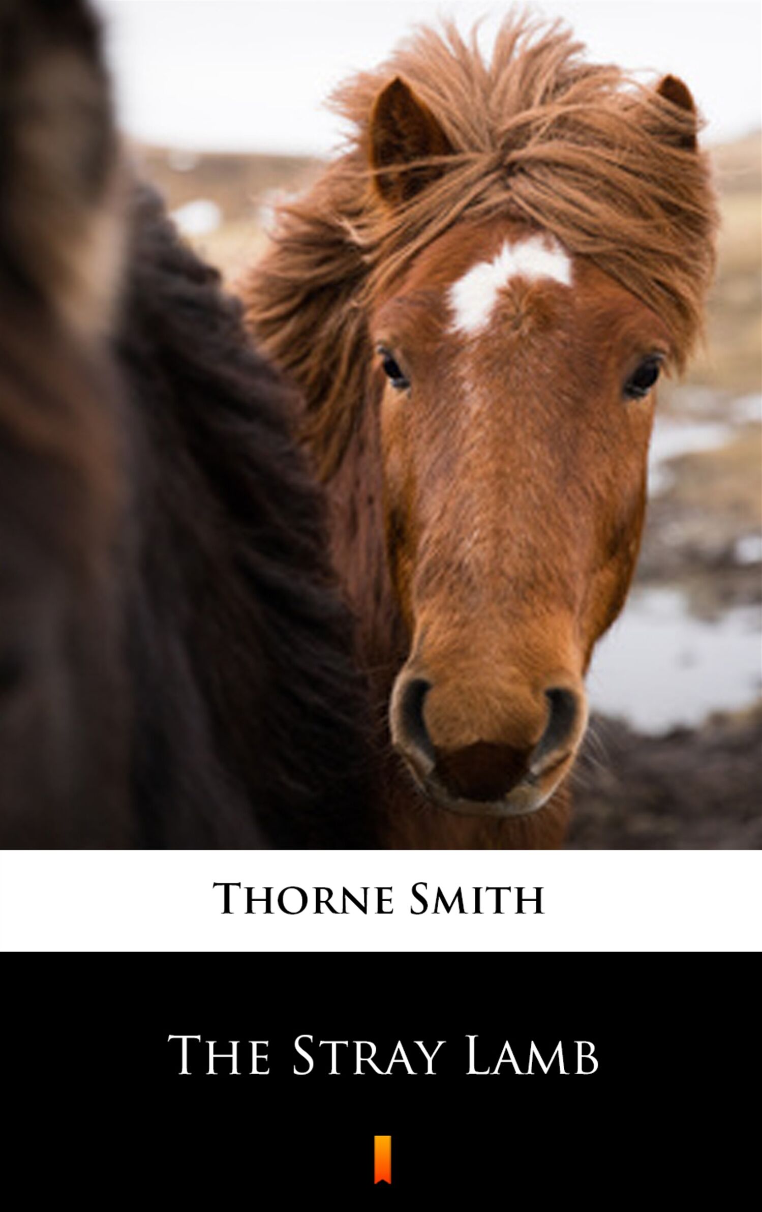 The Stray Lamb (e-book)