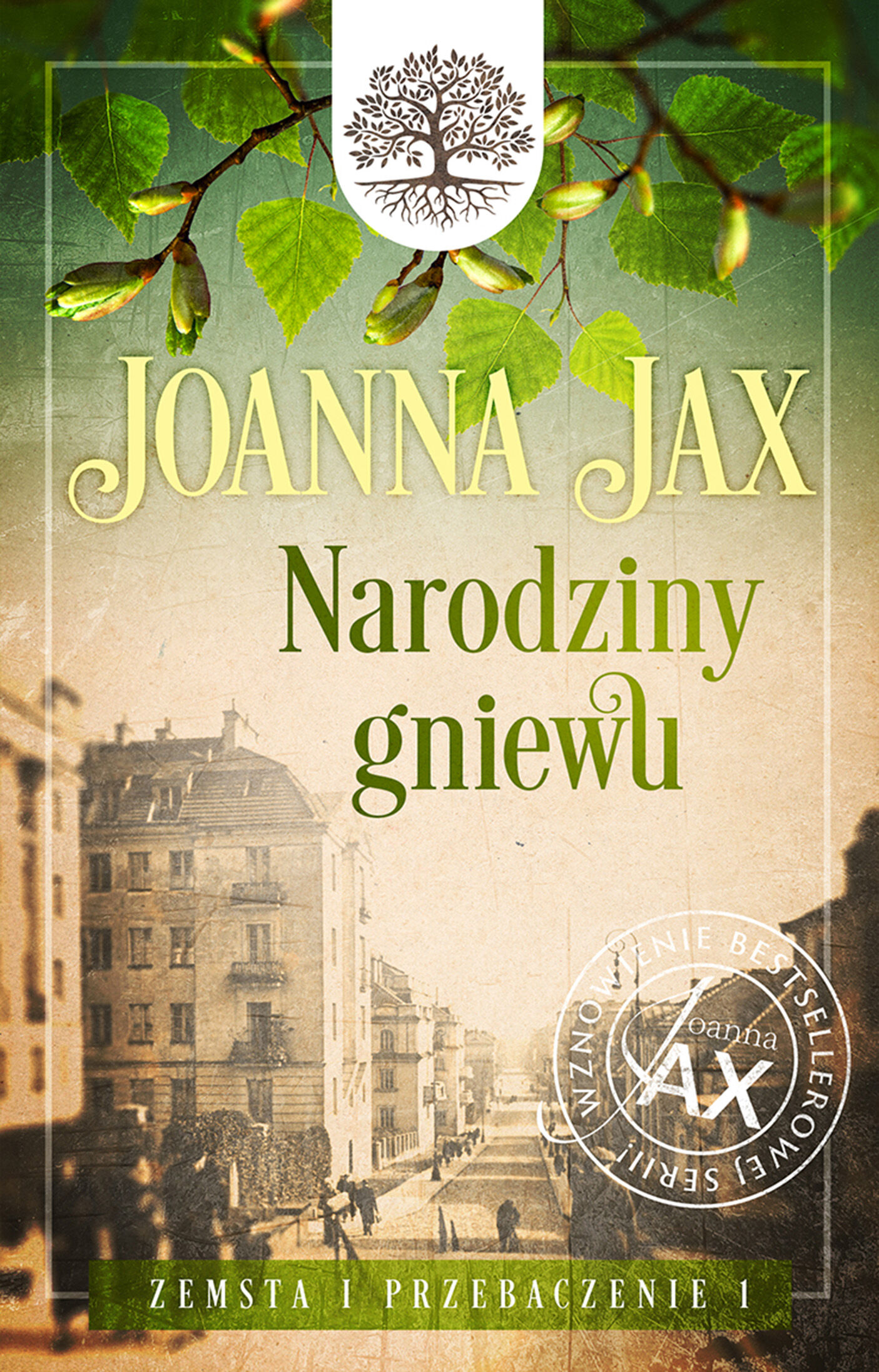 Zemsta i przebaczenie. Tom 1: Narodziny gniewu