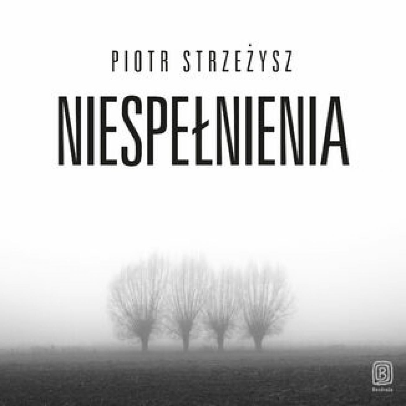 Niespełnienia (audiobook MP3)
