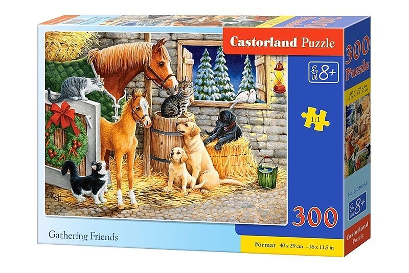 Puzzle 300 zebranie przyjaciół b-030255