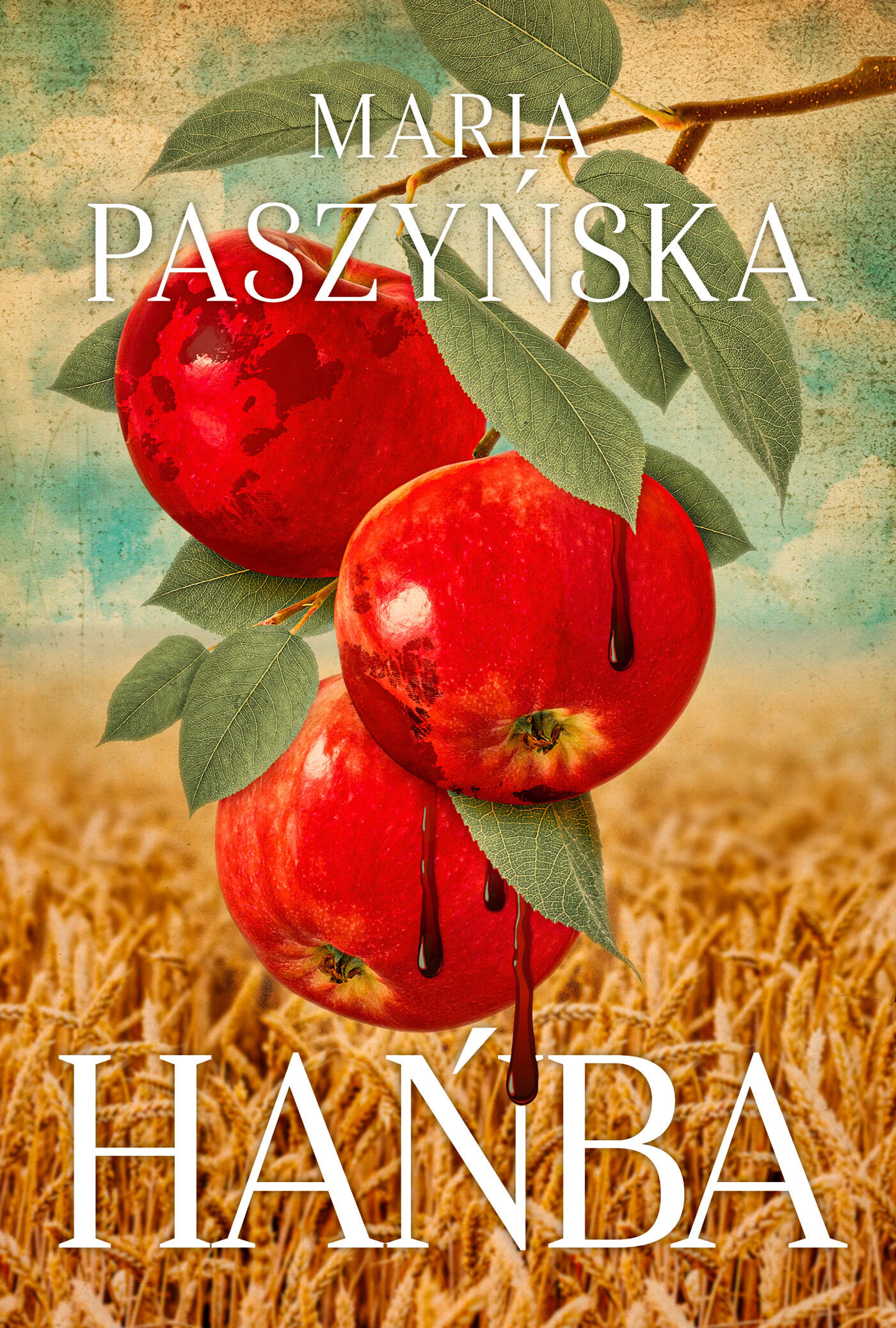 Hańba (e-book)