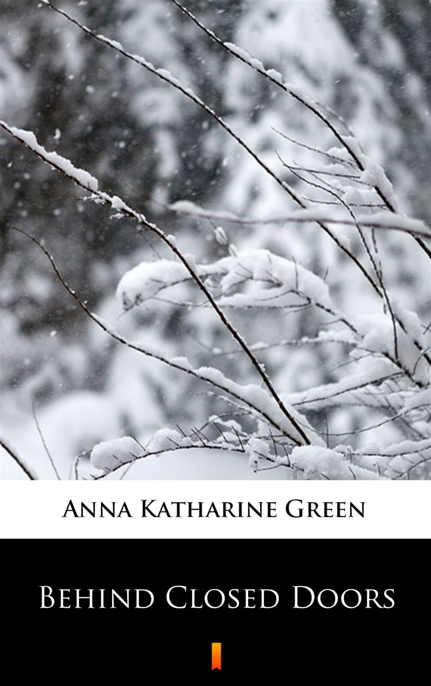 Behind Closed Doors (e-book)