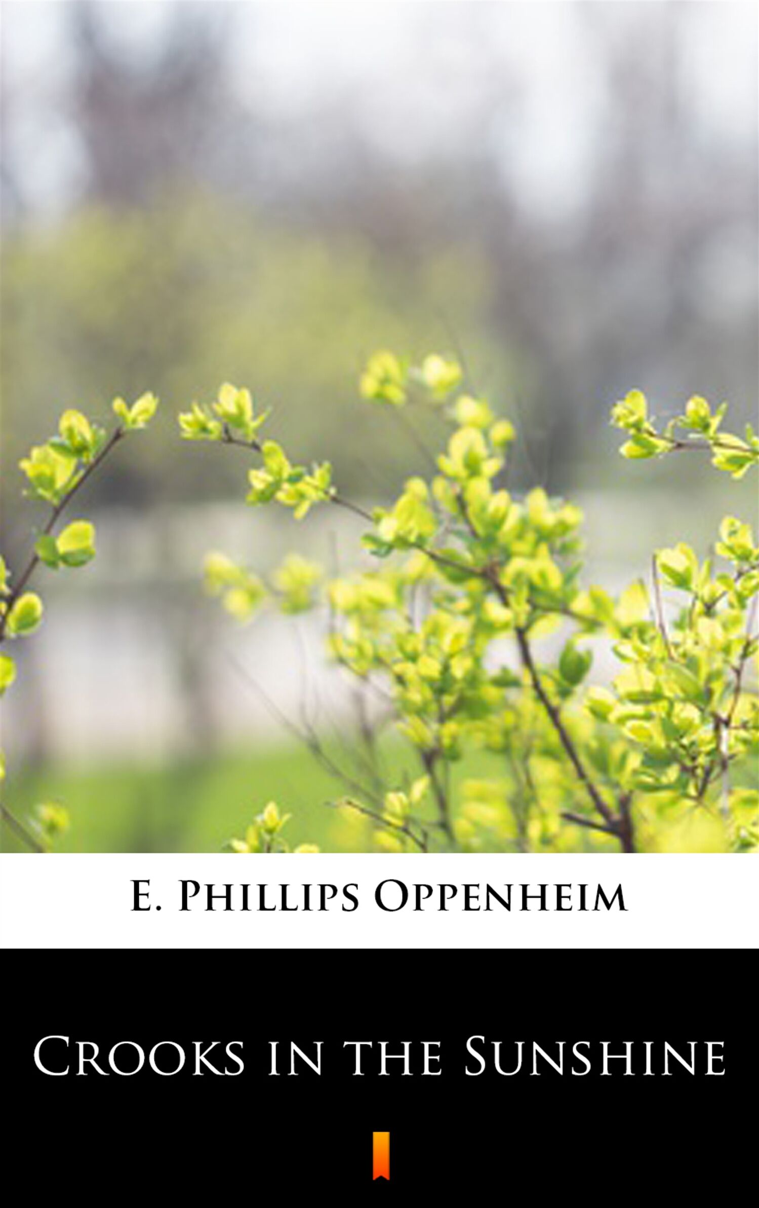 Crooks in the Sunshine (e-book)
