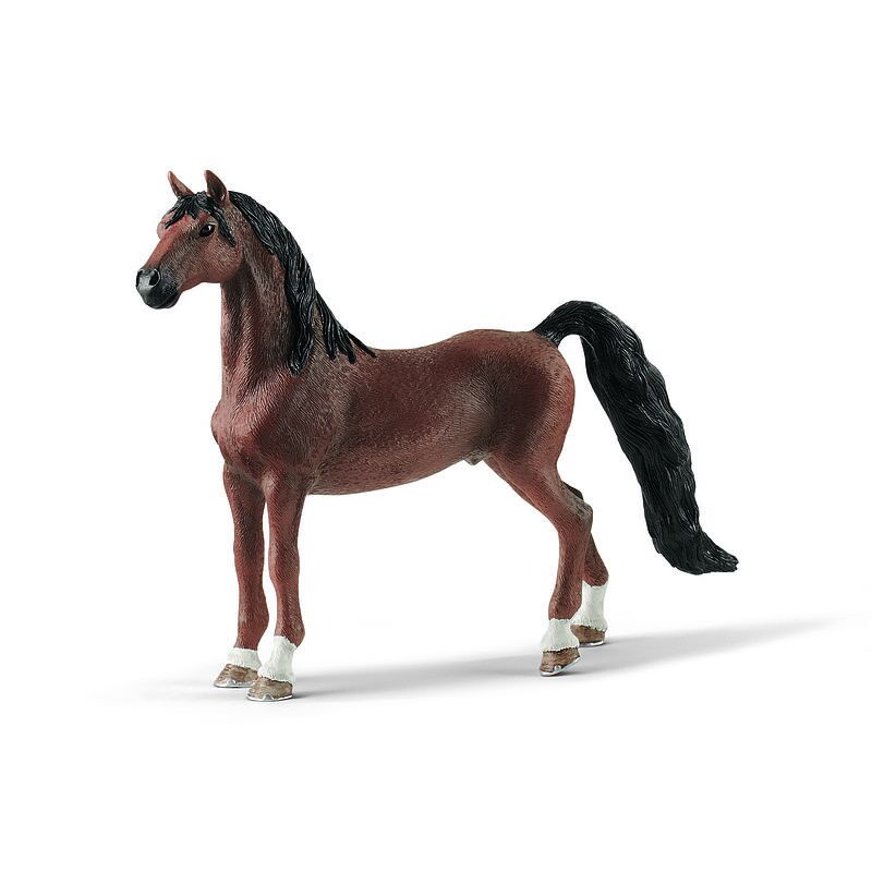 Koń saddlebred slh13913