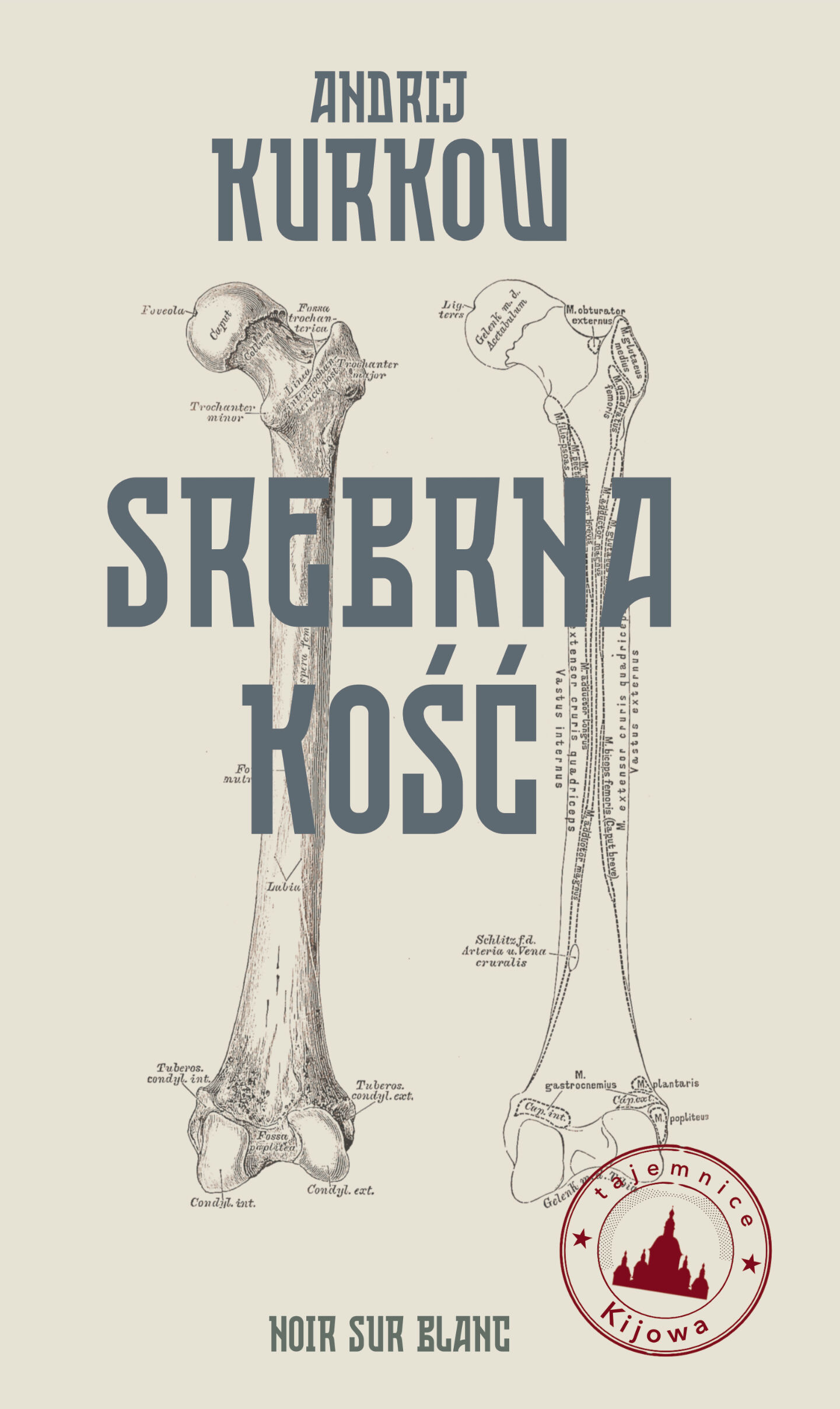 Srebrna kość (e-book)