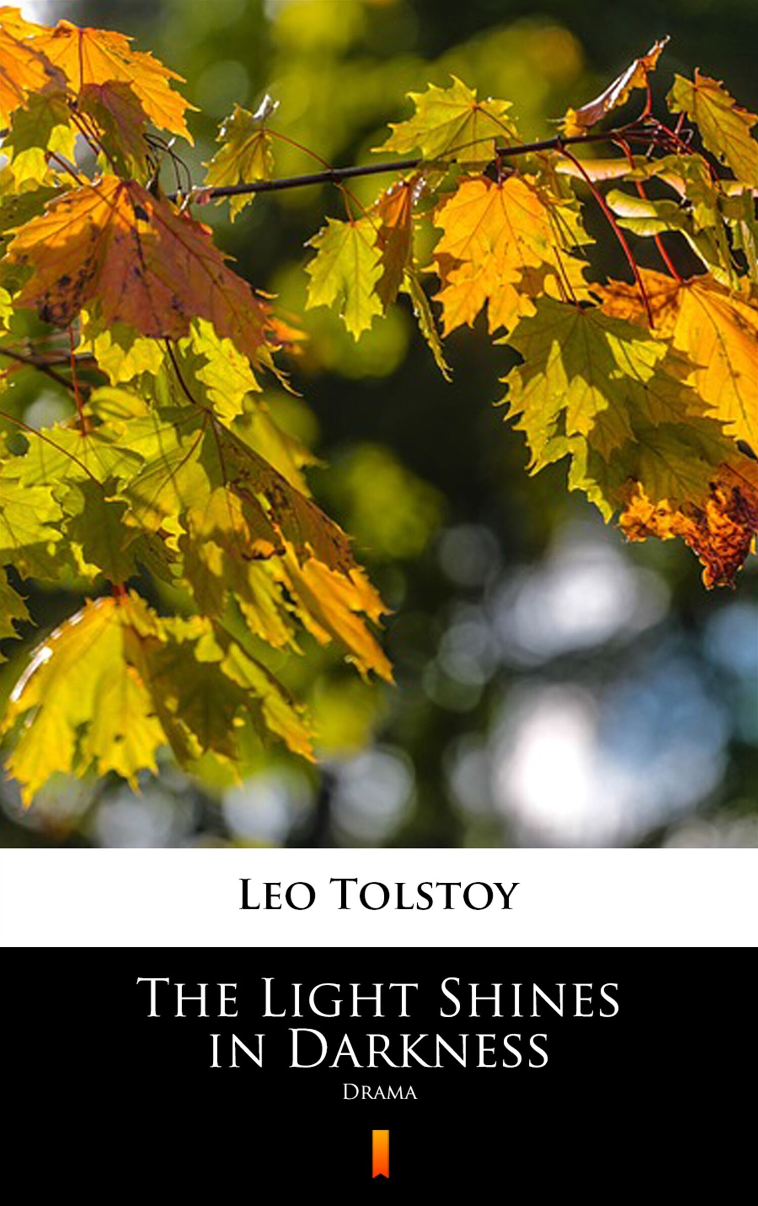 The Light Shines in Darkness (e-book)