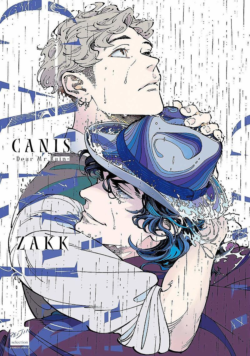 Canis - Dear Mr. Rain (wyd. 2022)