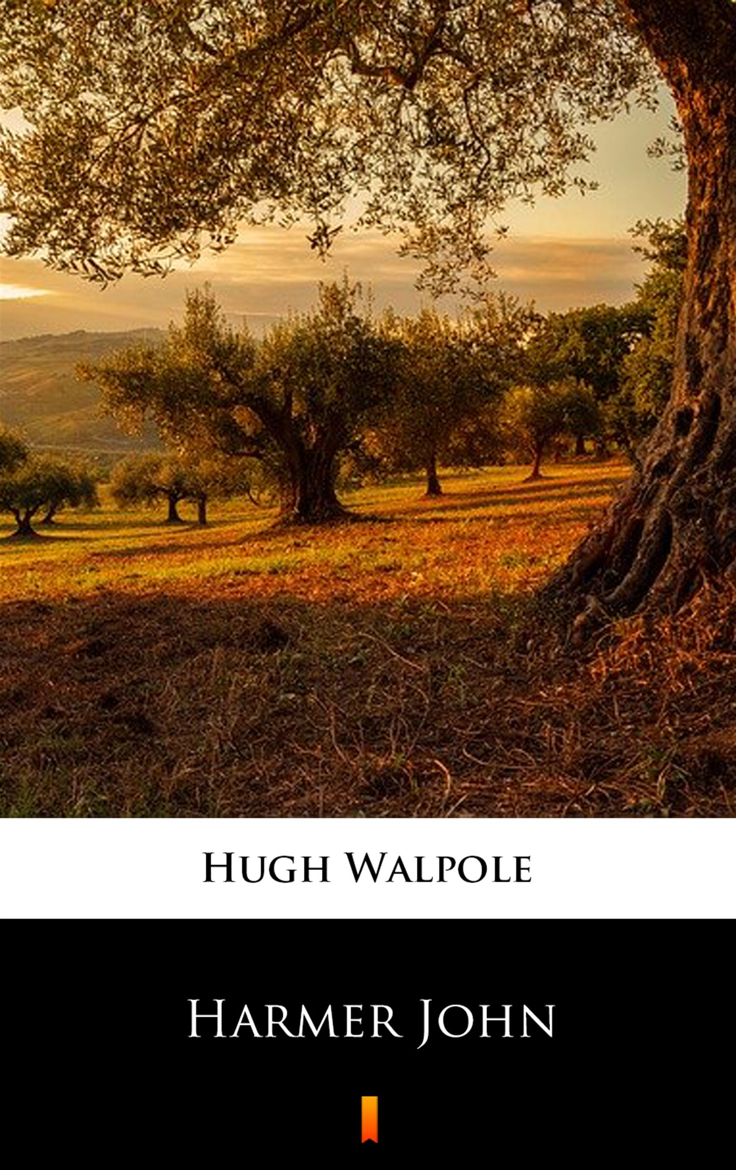 Harmer John (e-book)