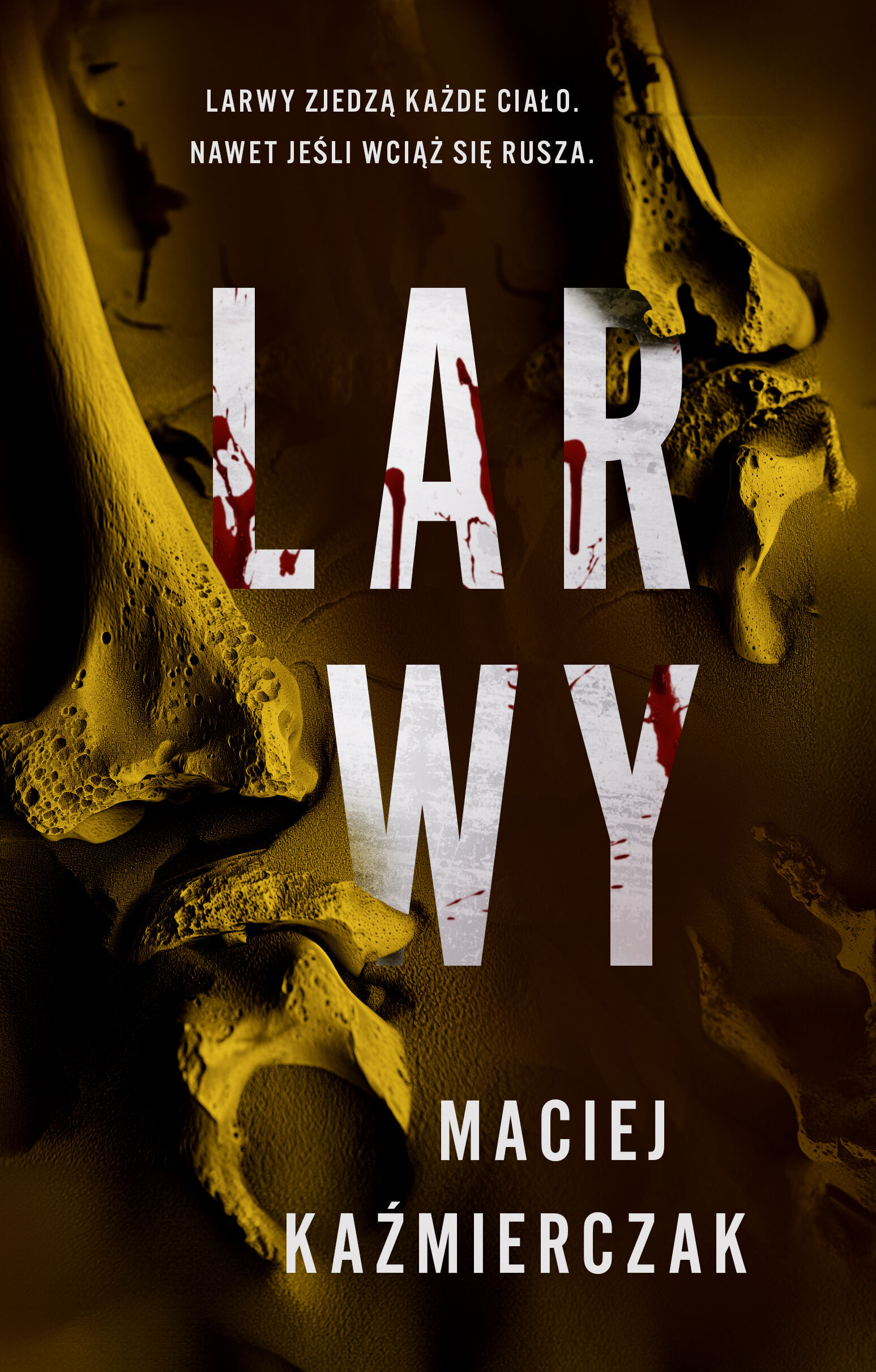 Larwy (e-book)