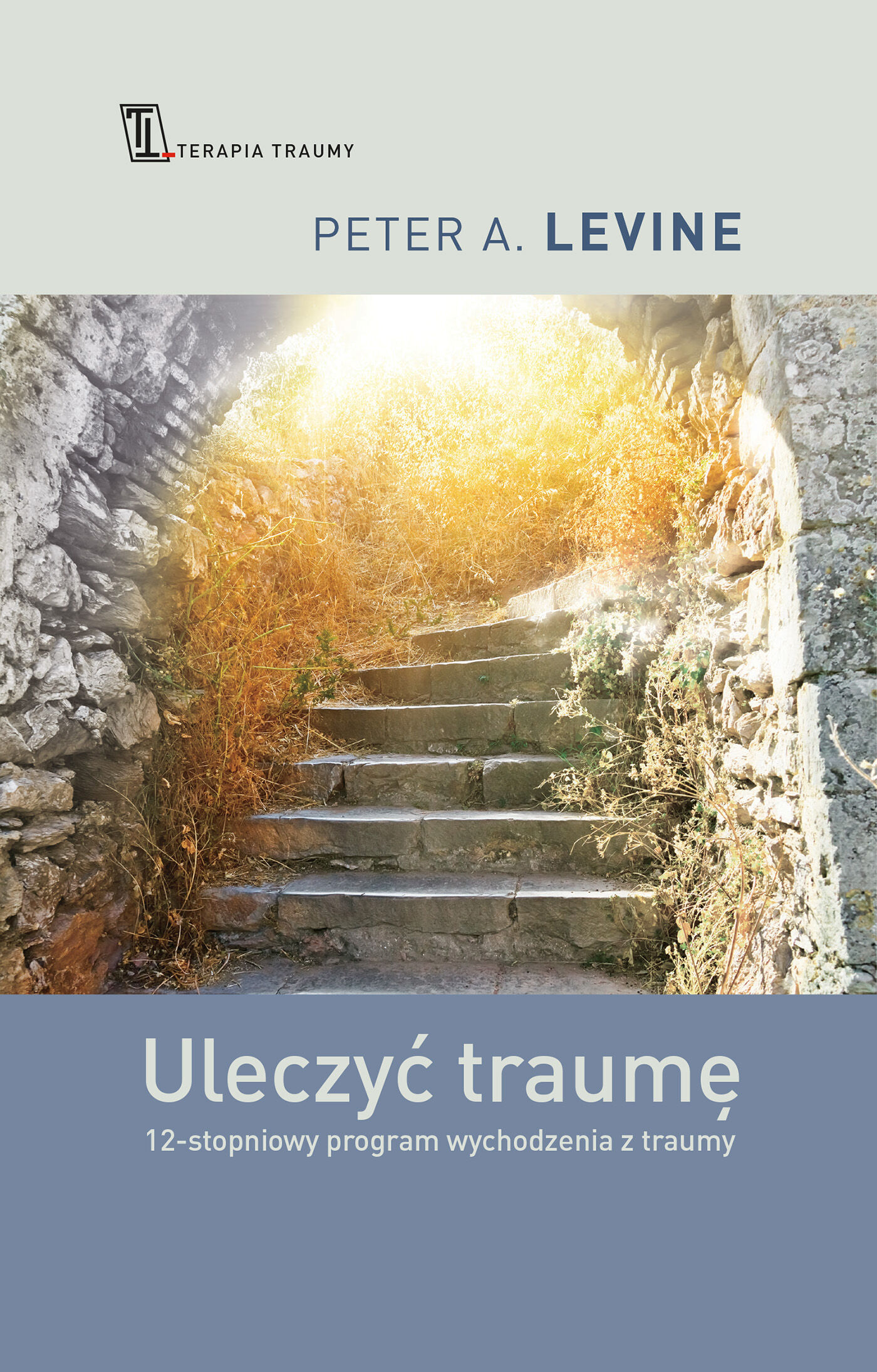 Uleczyć traumę (e-book)