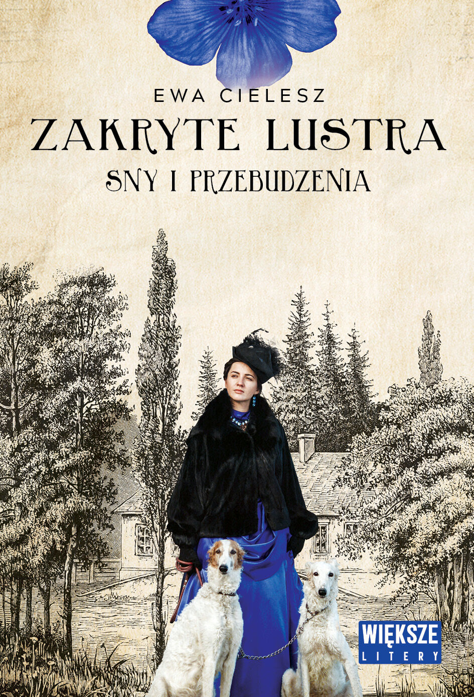 Sny i przebudzenia. Zakryte lustra. Tom 1. Większe litery