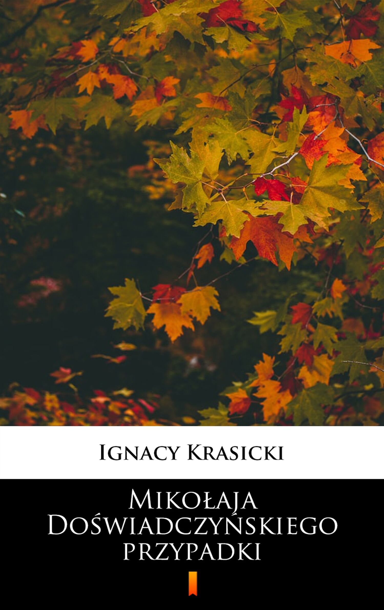 Mikołaja Doświadczyńskiego przypadki (e-book)