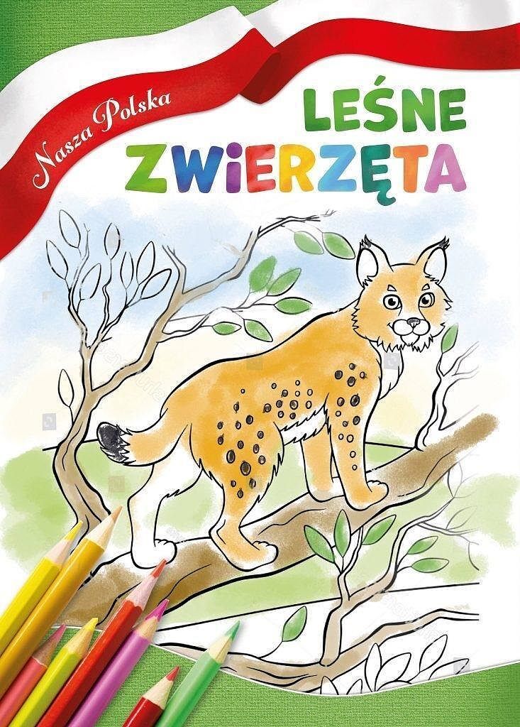 Leśne zwierzęta. Nasza polska