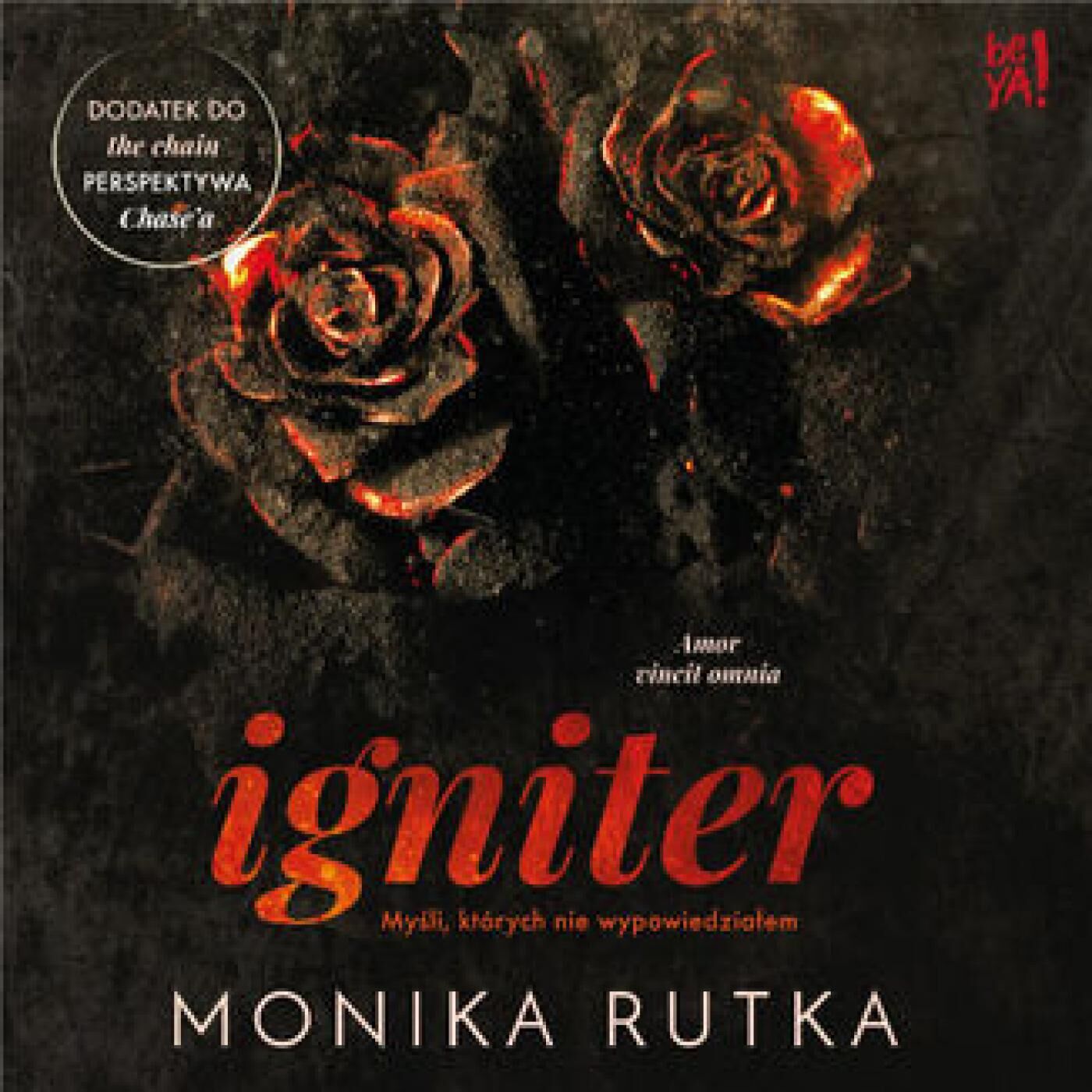 Igniter. Myśli, których nie wypowiedziałem (audiobook MP3)