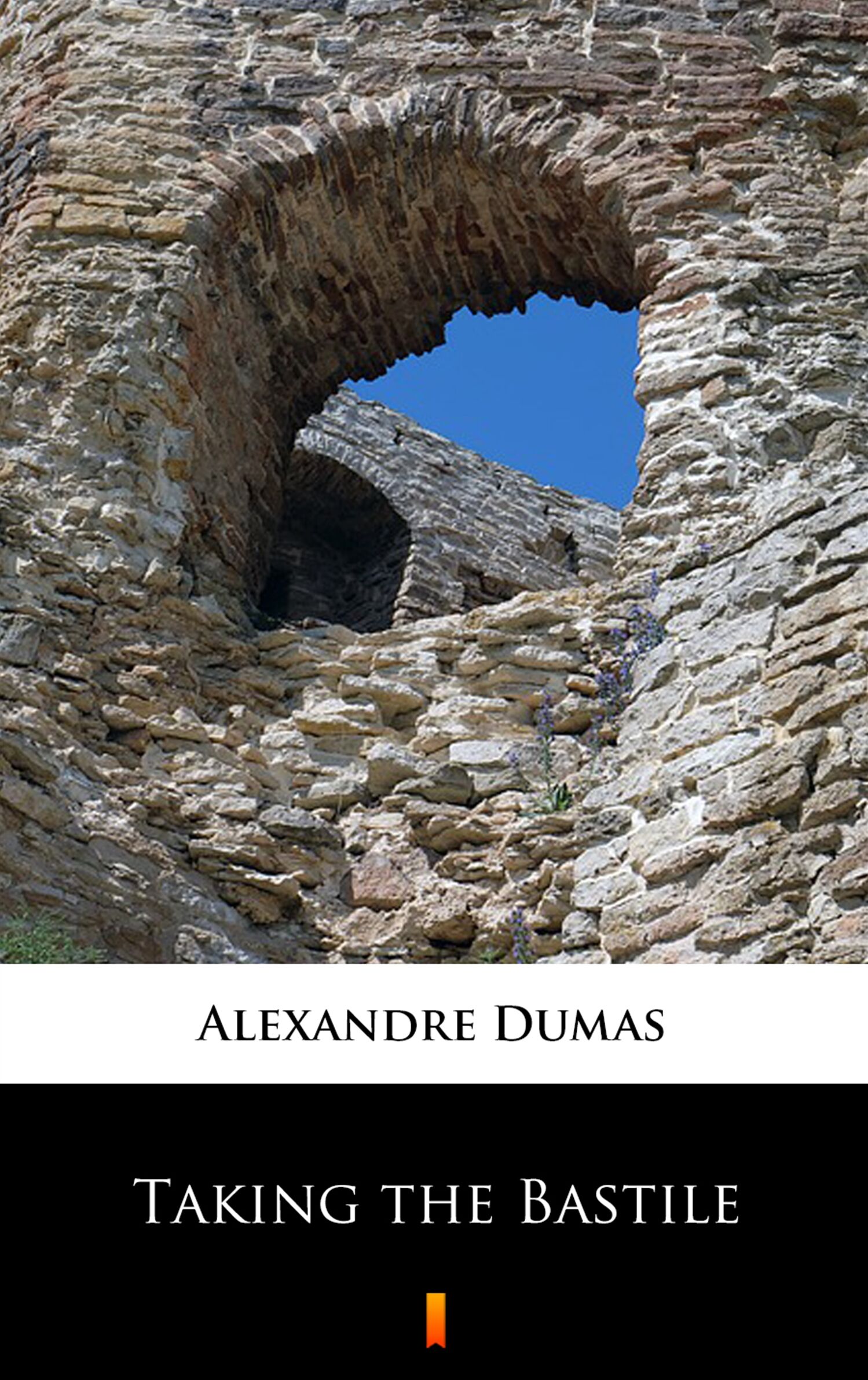 Taking the Bastile (e-book)