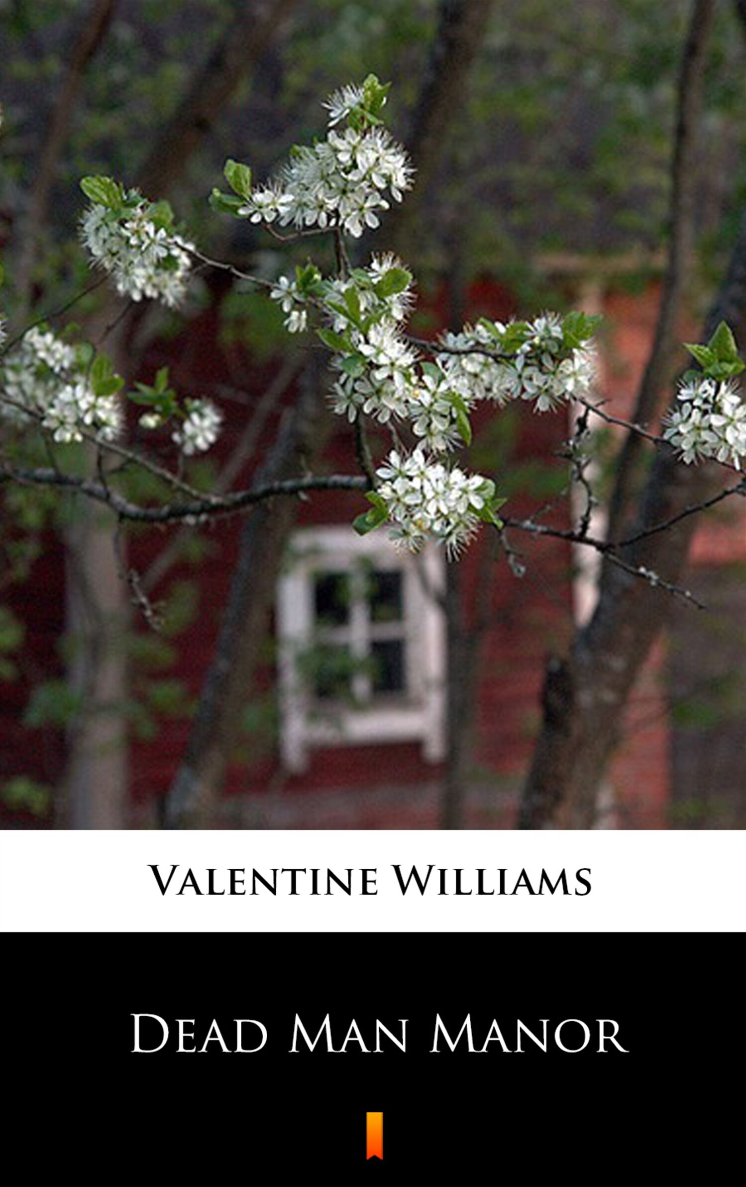 Dead Man Manor (e-book)