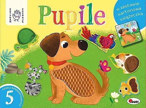 Dotykam poznaję Pupile Box
