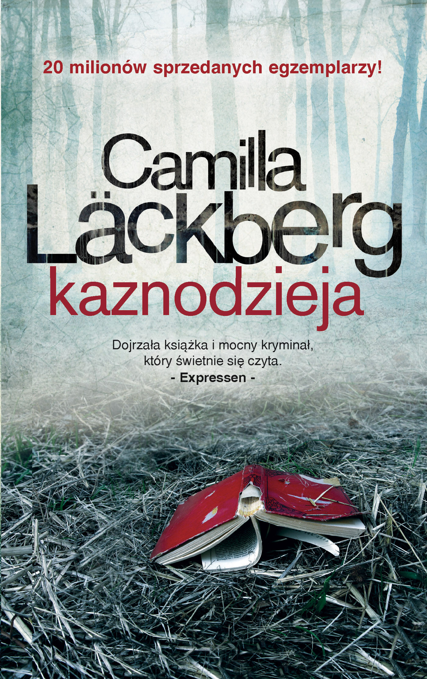 Kaznodzieja (e-book)