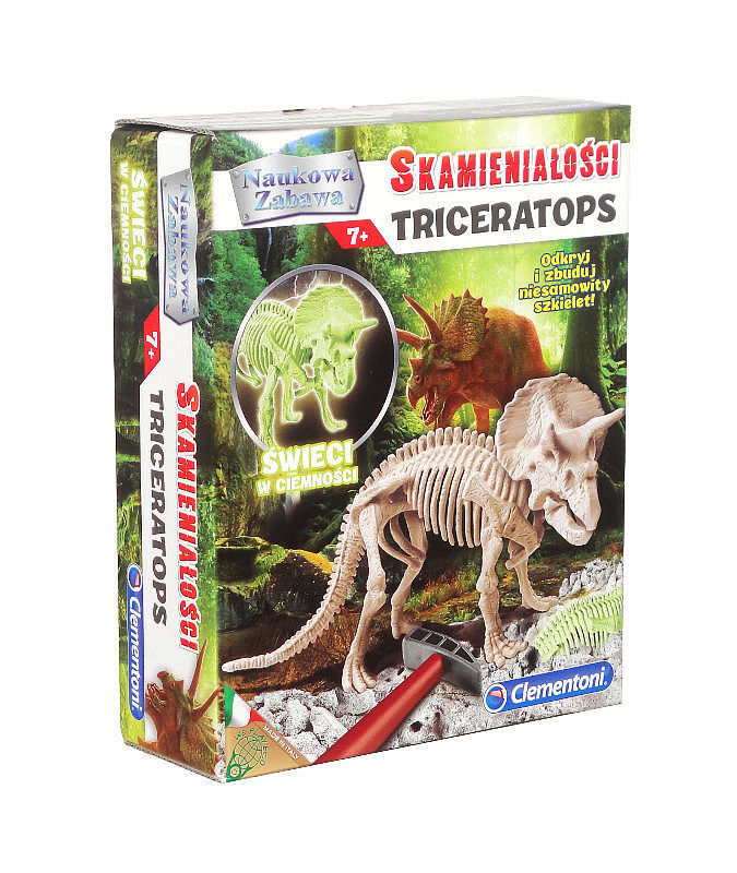 Skamieniałości triceratops 60892