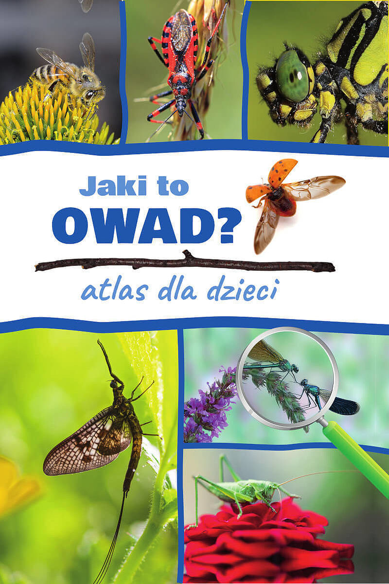Jaki to owad? atlas dla dzieci
