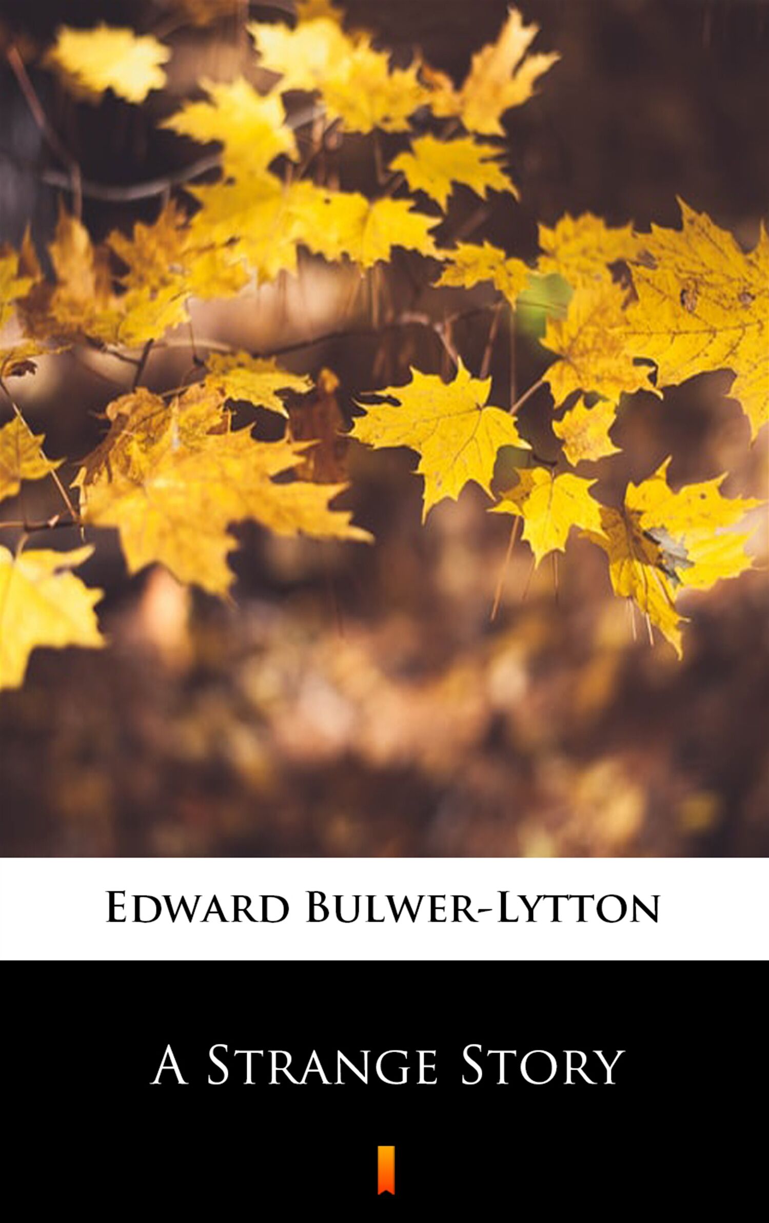 A Strange Story (e-book)