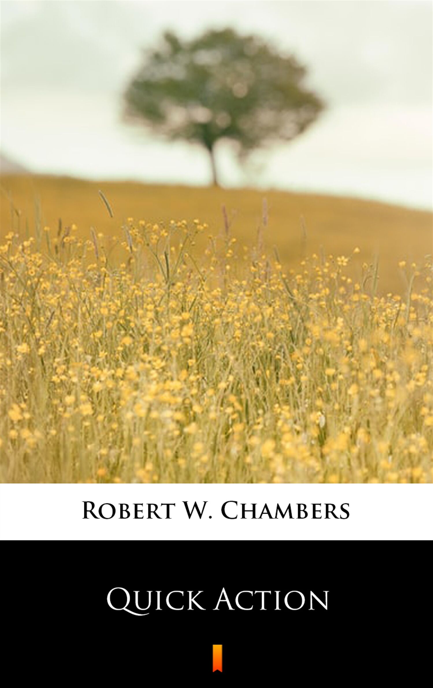 Quick Action (e-book)