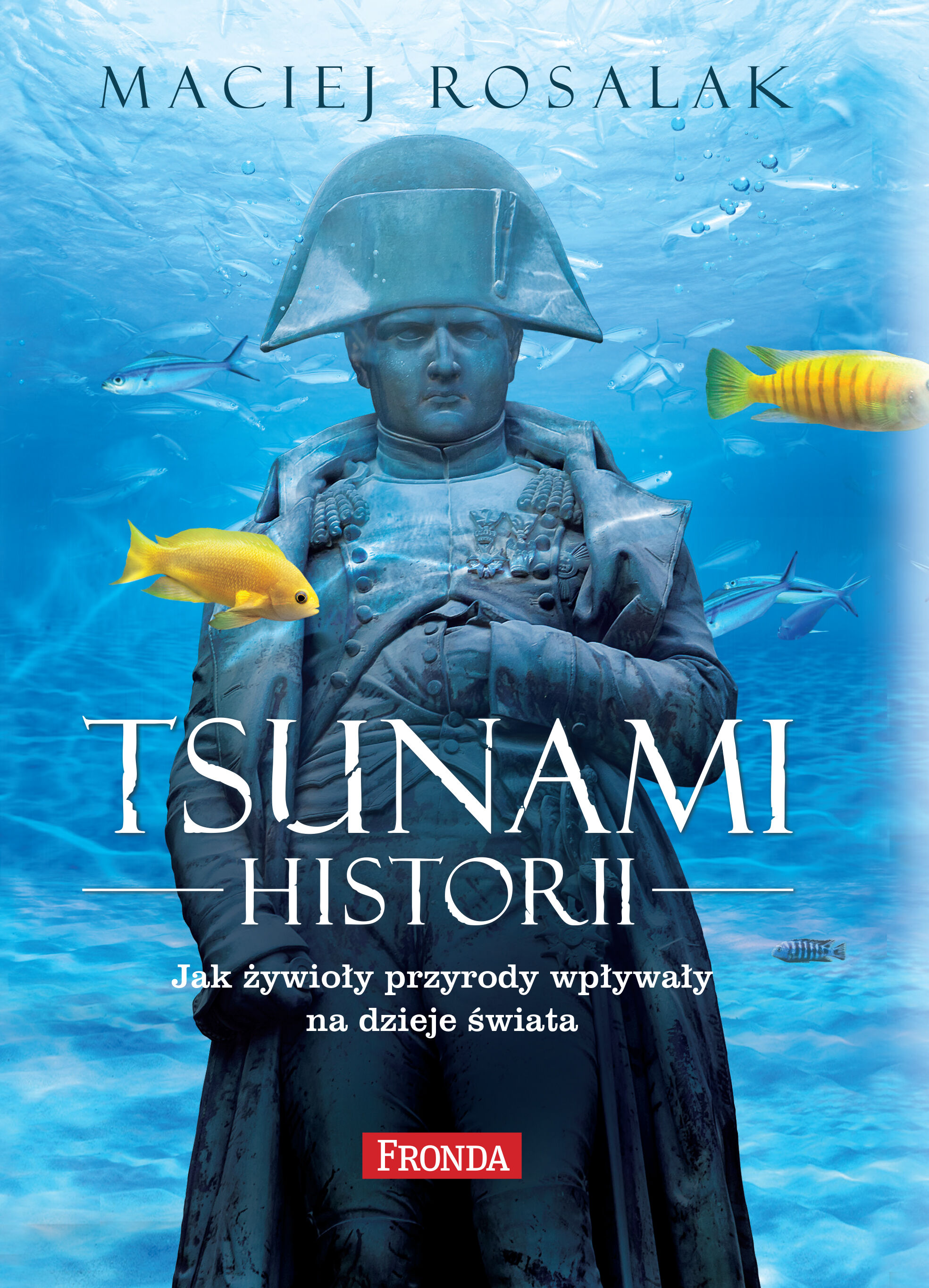 Tsunami historii (e-book)