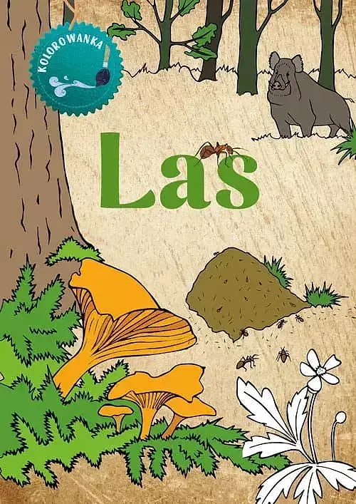 Las. Kolorowanka