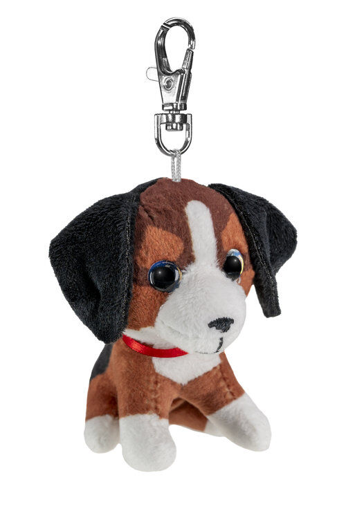 Lumo Bernese mountain dog Bruno mini