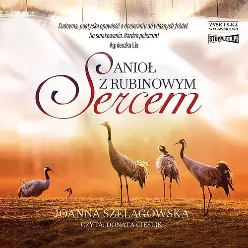 Anioł z rubinowym sercem (audiobook CD)