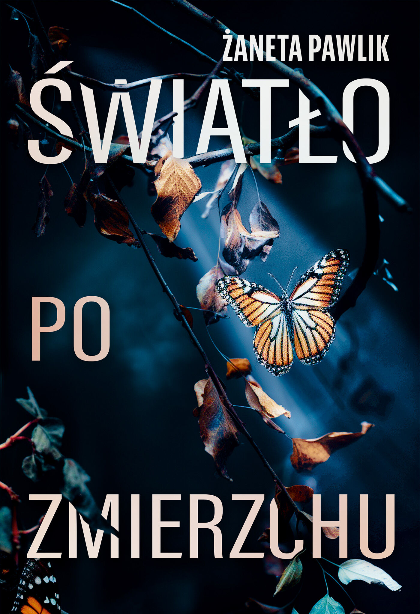 Światło po zmierzchu (e-book)