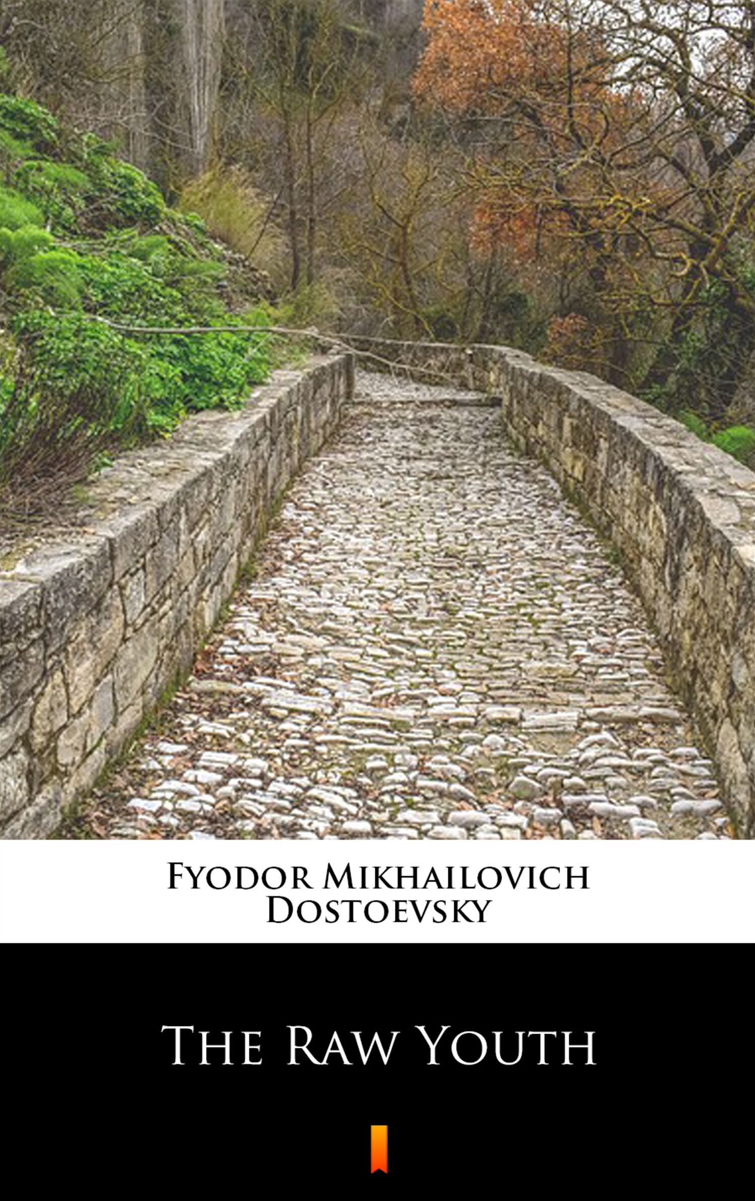 The Raw Youth (e-book)